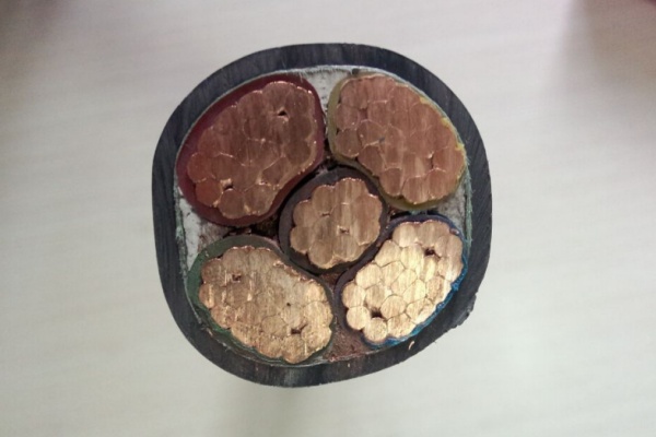 XLPE insualted Cable-Hesheng Cable.jpg