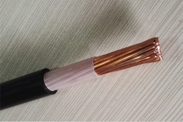 Cathodic Protection Cable H(Halar Cable)-Hesheng Cable.jpg