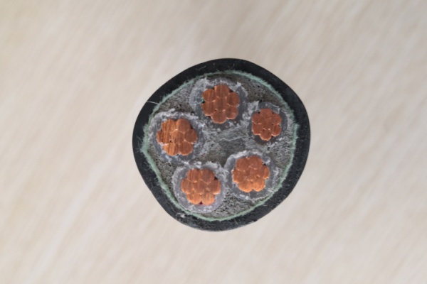 1kv 5Cores 35mm2 XLPE Cable.jpg